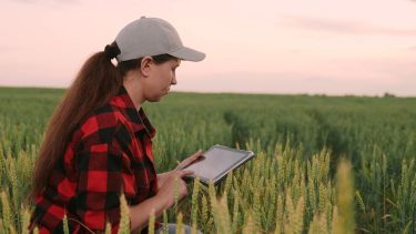 gazdálkodási napló