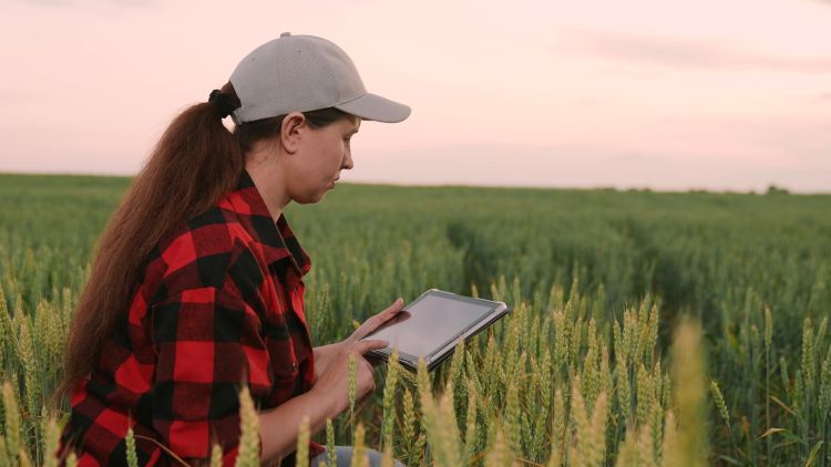 Egy hiba, és nincs támogatás: a gazdálkodási napló buktatói