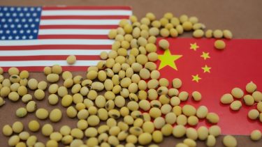 szója USA Kína zászló