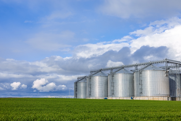 gabona-vetésterület és silótornyok
