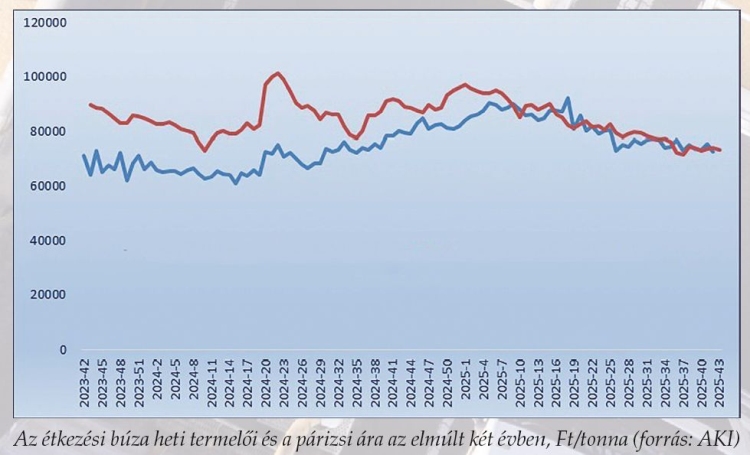 Az étkezési búza heti termelői és a párizsi ára az elmúlt két évben, Ft/tonna (forrás: AKI)