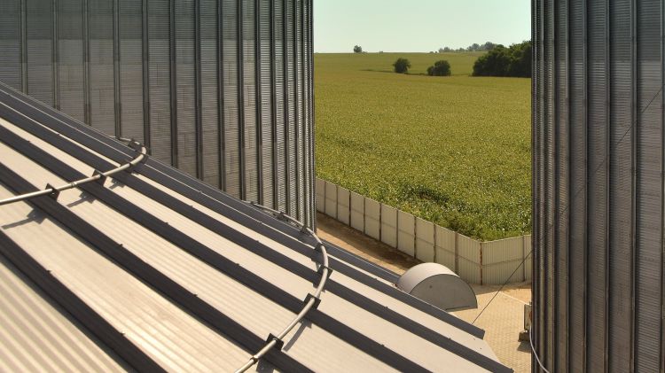 Eladatlan búza várja az új aratást, nagy túlkínálat várható