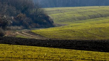 Nedves talajfelszín Baranya megye keleti részén