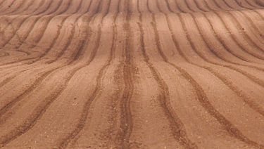 Szántott tábla talaj