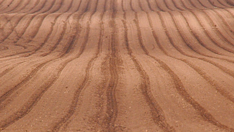 Szántott tábla talaj