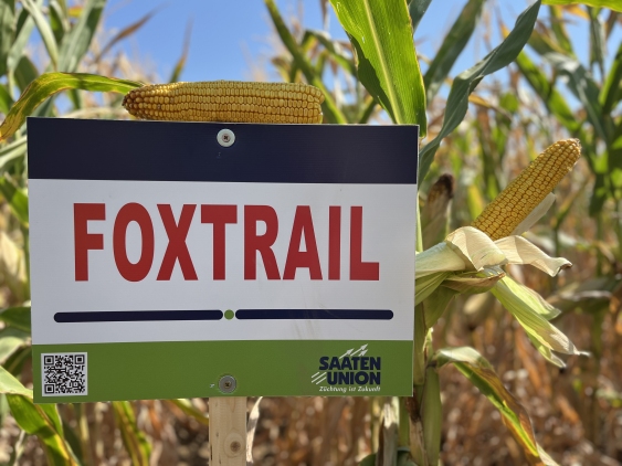 SAATEN-UNION Foxtrail