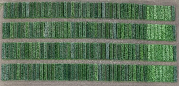 300 ezer hektár nem tévedhet, nő az ökológiai gazdálkodás