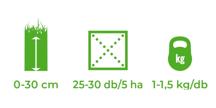 Talajmintavétel szakszerűen!