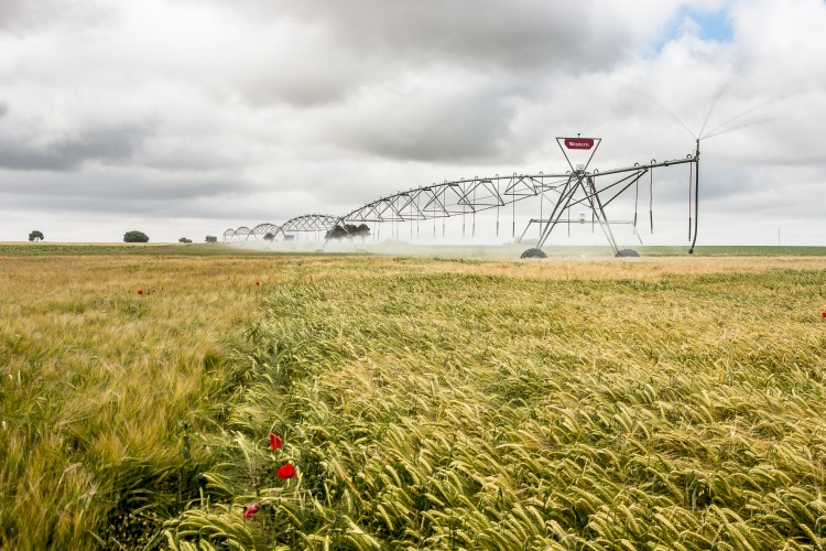 Western Irrigation: hatékony öntözés, biztos terméshozam