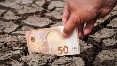 Euró bankjegy kiszáradt termőtalajon