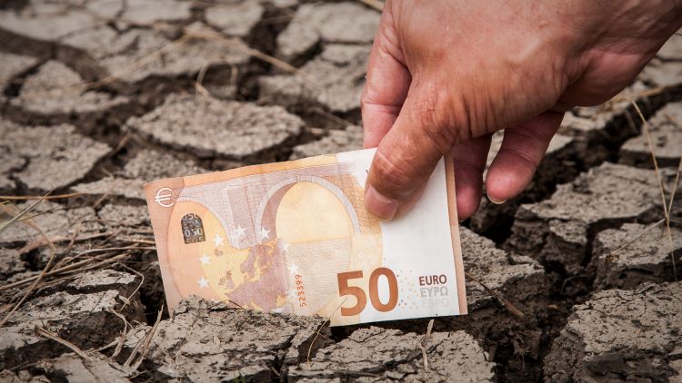 Euró bankjegy kiszáradt termőtalajon