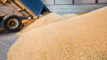 gabonaraktár teherautó