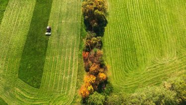 Gyepkezelés gépi kaszálás