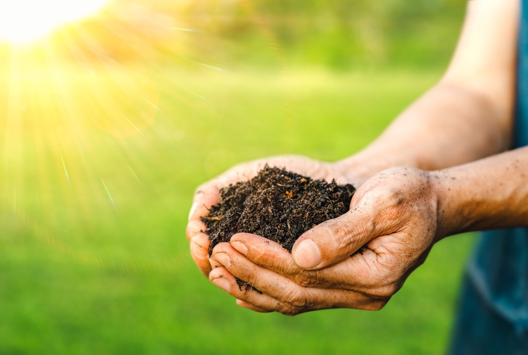 Hogyan hoz pénzt a körforgásos agrárgazdálkodás?