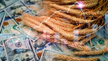 Gabonapiaci árak emelkedése