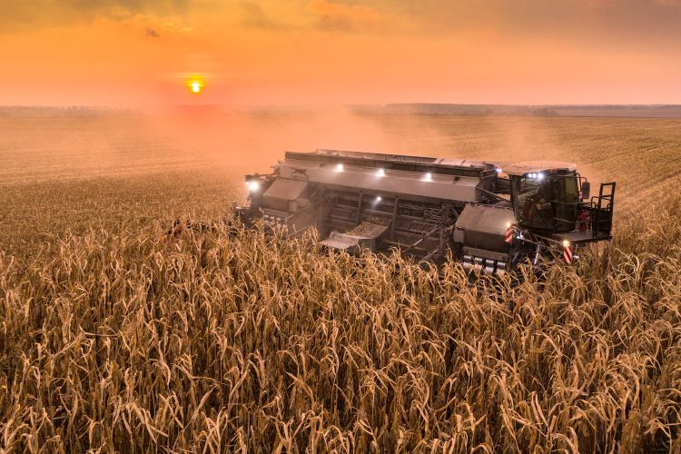 Külön fejezetet érdemel a betakarítómodul (fotó: nexat.de)