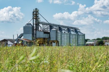 Gabonaszárító telep silókkal nyáron