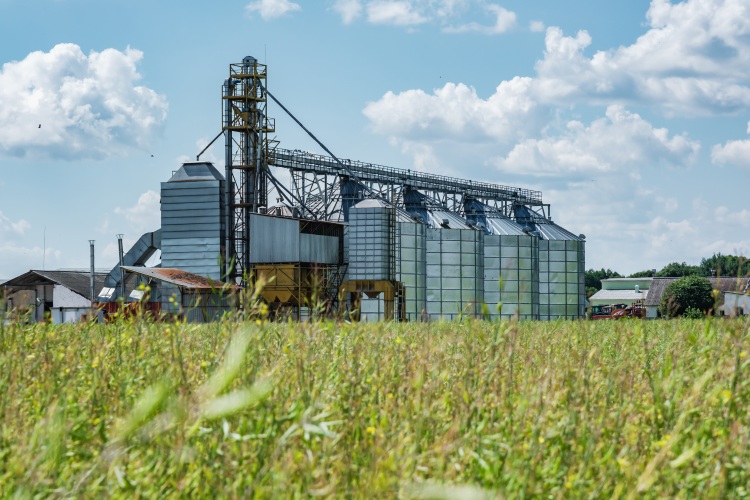 Gabonaszárító telep silókkal nyáron
