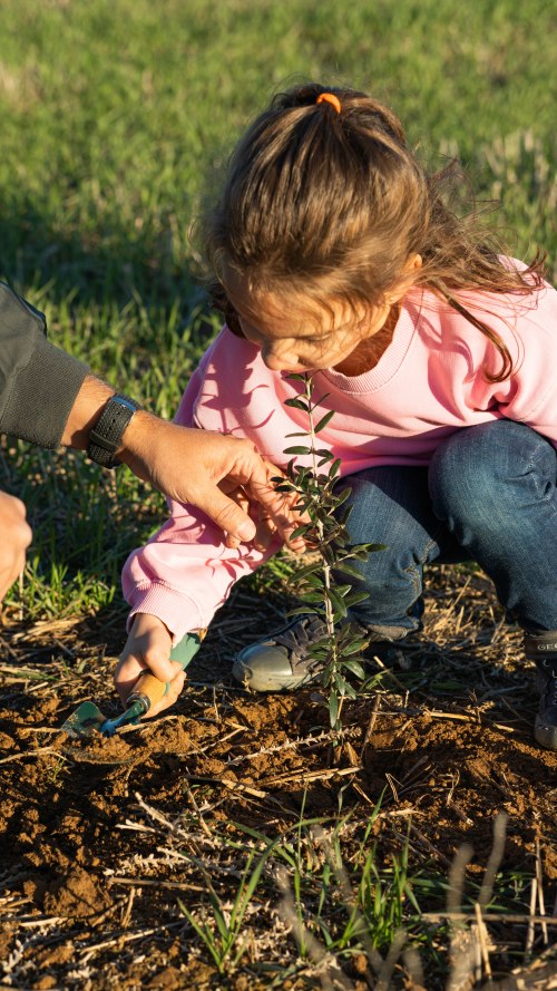 generációváltás a mezőgazdaságban