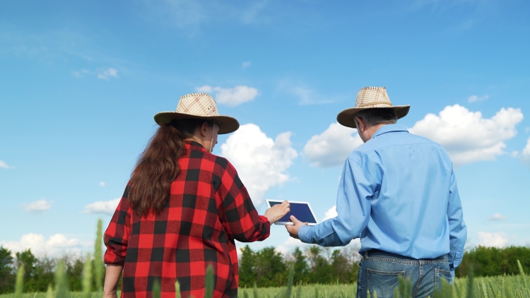 generációk közötti gazdaságátadás