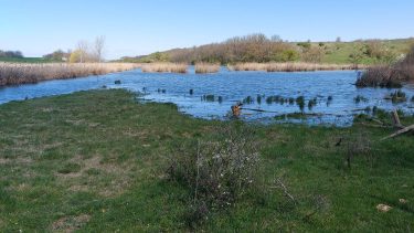 vizes élőhelyek mezőgazdaságban