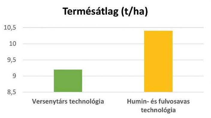 A különböző technológiák hatása a termésmennyiségre. A kezelt állományban a termelt mennyiség döbbenetes!