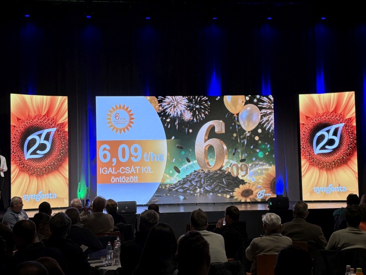 6t/ha Napraforgó program