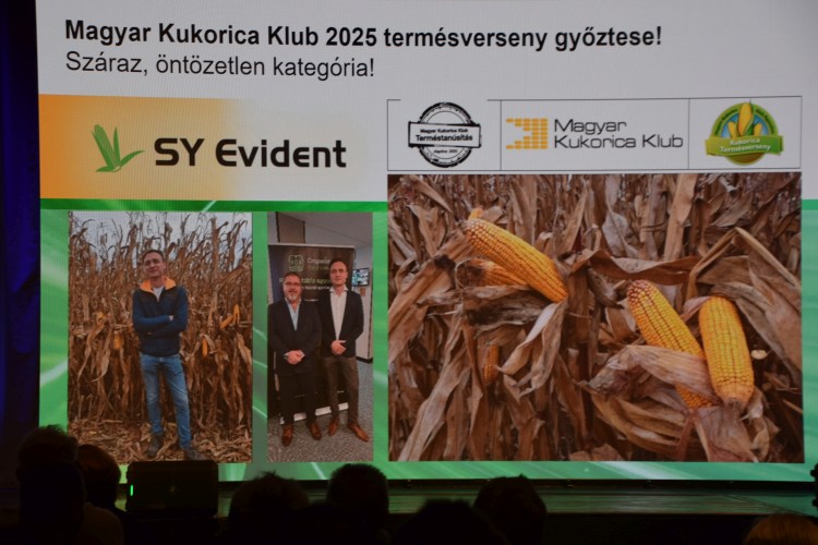 A Magyar Kukorica Klub termésversenyének tavalyi győztese
