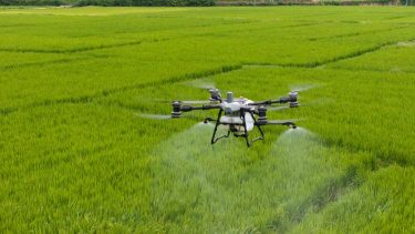 DJI Agras drón dolgozik táblán.