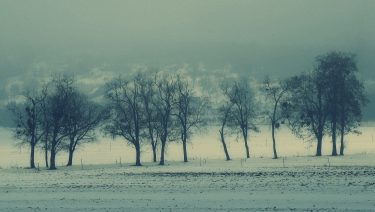 Idén végre hótakaró védi a fagytól a szántót, a kerteket (Fotó: Horizont Média)