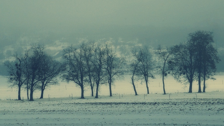 Idén végre hótakaró védi a fagytól a szántót, a kerteket (Fotó: Horizont Média)
