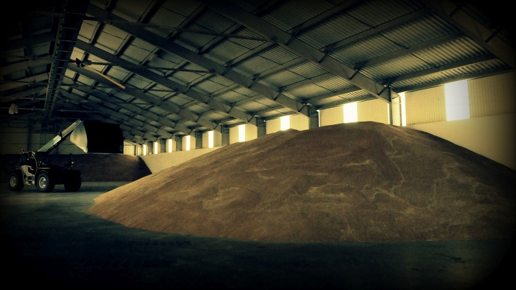 A Bászna Gabona-botrány felértékeli a tisztességes cégeket