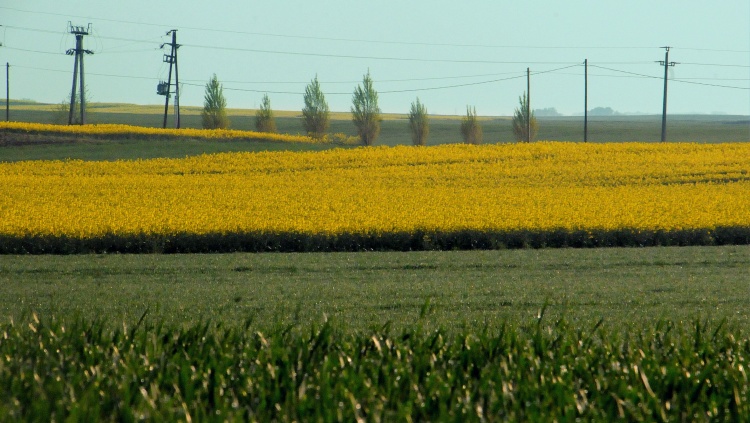 A mezőgazdasági termelőknek is üzlet a tiszta energia