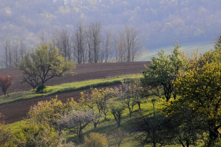Egyáltalán megéri még földet bérelni a mezőgazdaságban?