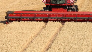 Gabona-betakarítás kombájnnal