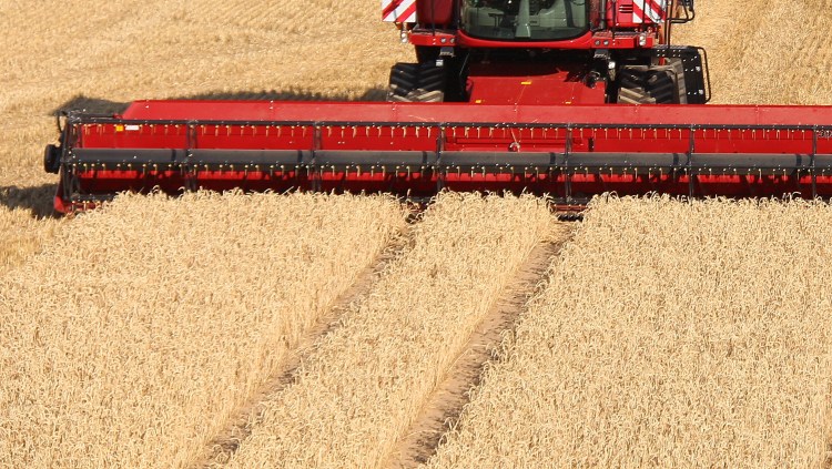 Gabona-betakarítás kombájnnal