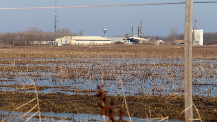 Idén a hó és a gazda is segítheti a termőtalaj vízpótlását