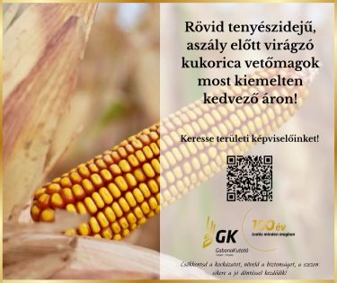 A korai vetéshez leginkább a jó kezdeti fejlődésű, stressztűrő háromvonalas hibridek alkalmasak.