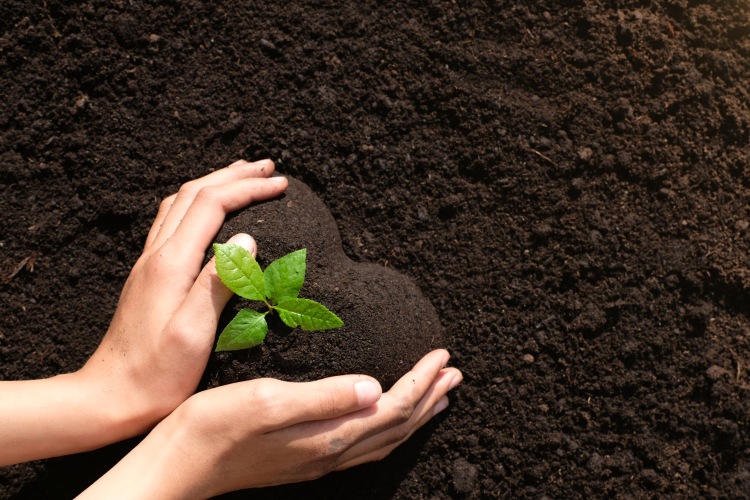 A gazdaságátadás rejtett buktatói és kulcslépései