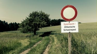 afrikai sertéspetisre figyelmeztető tábla