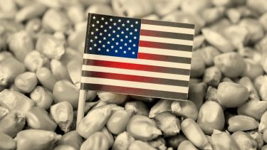 Fakul az USA kitüntetett globális exportőri helyzetének fénye (Fotó: Shutterstock)
