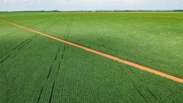 hatalmas szója termőföld Brazíliában