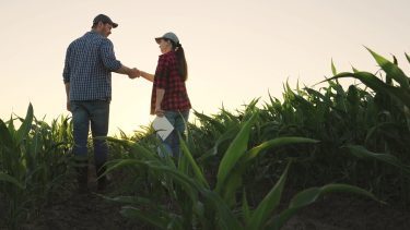 együttműködés megállapodás gazdák között