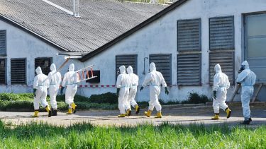 járványügy ellenőrök telepi biobiztonság