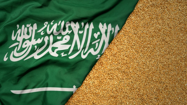 Szaúd-Arábia gabonaimportőri és tárolási központtá válik