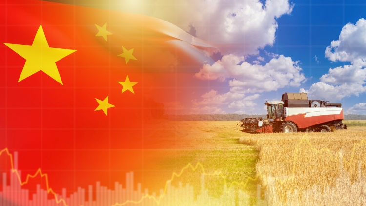Kína keményít: rekord gabonatermelés, de függés szójából