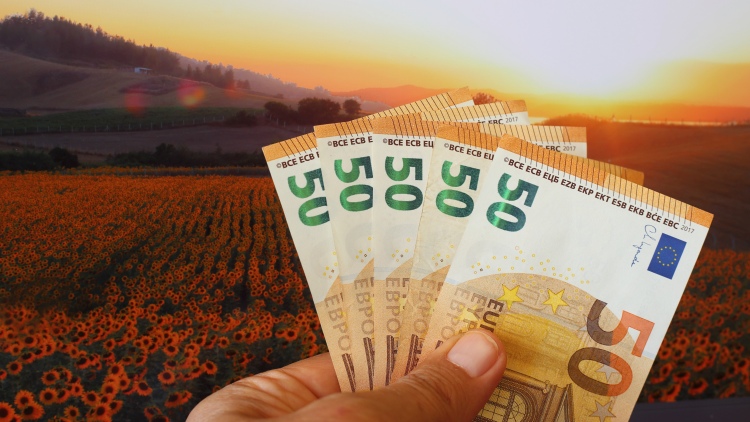 euro bankjegyek napraforgó szántóföld