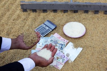 agrártámogatás pénz aratás