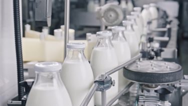 tejipar tejpalackozás feldolgozóüzemben