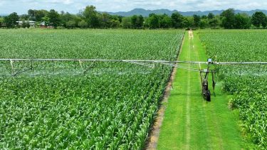 permetezőgép kukorica szántóföld
